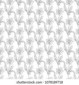 Seamless pattern. Plant in blossom, branch with flower ink sketch. Template for a business card, banner, poster, notebook, invitation, color book. Vector illustration for your design