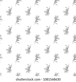 Seamless pattern. Plant in blossom, branch with flower ink sketch. Template for a business card, banner, poster, notebook, invitation, color book. Vector illustration for your design