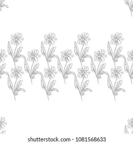 Seamless pattern. Plant in blossom, branch with flower ink sketch. Template for a business card, banner, poster, notebook, invitation, color book. Vector illustration for your design