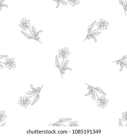 Seamless pattern. Plant in blossom, branch with flower ink sketch. Template for a business card, banner, poster, notebook, invitation, color book. Vector illustration for your design