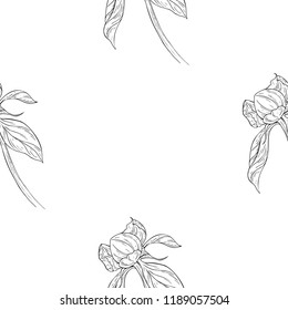 Seamless pattern. Plant in blossom, branch with flower ink sketch. Template for a business card, banner, poster, notebook, invitation, color book. Vector illustration for your design