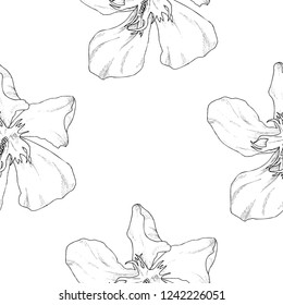 Seamless pattern. Plant in blossom, branch with flower ink sketch. Template for a business card, banner, poster, notebook, invitation, color book. Vector illustration for your design