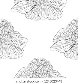 Seamless pattern. Plant in blossom, branch with flower ink sketch. Template for a business card, banner, poster, notebook, invitation, color book. Vector illustration for your design