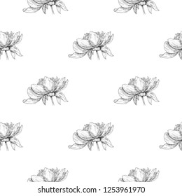 Seamless pattern. Plant in blossom, branch with flower ink sketch. Template for a business card, banner, poster, notebook, invitation, color book. Vector illustration for your design
