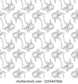 Seamless pattern. Plant in blossom, branch with flower ink sketch. Template for a business card, banner, poster, notebook, invitation, color book. Vector illustration for your design