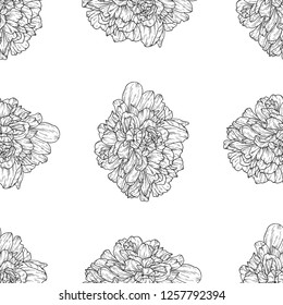 Seamless pattern. Plant in blossom, branch with flower ink sketch. Template for a business card, banner, poster, notebook, invitation, color book. Vector illustration for your design