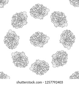 Seamless pattern. Plant in blossom, branch with flower ink sketch. Template for a business card, banner, poster, notebook, invitation, color book. Vector illustration for your design