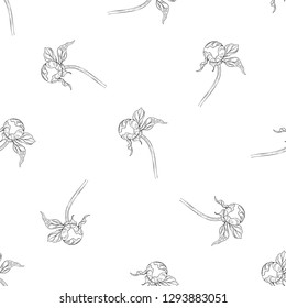 Seamless pattern. Plant in blossom, branch with flower ink sketch. Template for a business card, banner, poster, notebook, invitation, color book. Vector illustration for your design