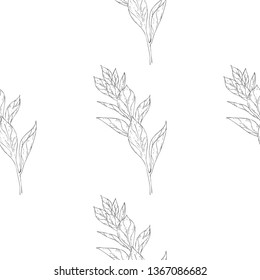 Seamless pattern. Plant in blossom, branch with flower ink sketch. Template for a business card, banner, poster, notebook, invitation, color book. Vector illustration for your design