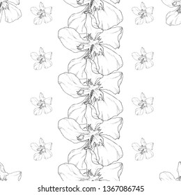 Seamless pattern. Plant in blossom, branch with flower ink sketch. Template for a business card, banner, poster, notebook, invitation, color book. Vector illustration for your design