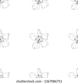 Seamless pattern. Plant in blossom, branch with flower ink sketch. Template for a business card, banner, poster, notebook, invitation, color book. Vector illustration for your design