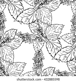 Seamless pattern, plant catnip