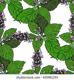 Seamless pattern, plant catnip