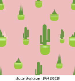 Colores completos de la planta del patrón sin foco