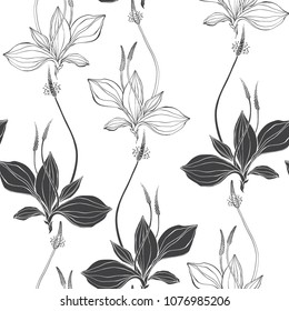 Seamless pattern with plantain. Black and white vector illustration. Outline and silhouette drawing on a white background.