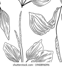 Seamless pattern with plants, leaves of plantain plant