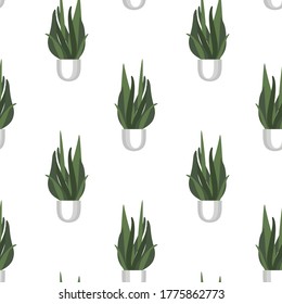 Patrón sin foco de plantas en una olla. La decoración interior Patrón de flores. Decoración de diseño. Modalidades modernas para el embalaje, papel pintado, telas y telas.