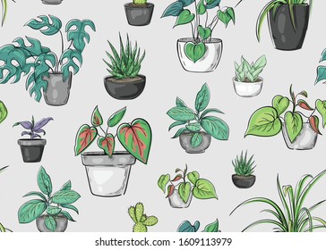 Seamless pattern with plants in pots