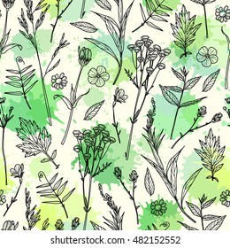 Seamless pattern with plants. Sketch. Freehand drawing