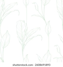 Seamless pattern with plants (Spathiphyllum). Vector illustration.