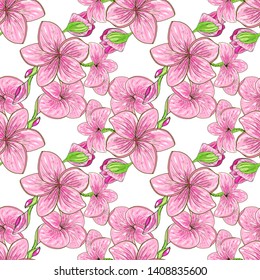 Seamless pattern with Plumeria. Endless texture for wedding design with Frangipani.  Floral background for your greeting cards, design, wedding announcements.
