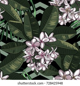 Seamless Pattern with plumeria Flowers.