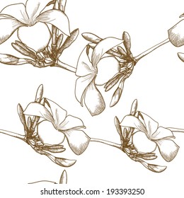 seamless pattern with plumeria (Frangipani) flowers