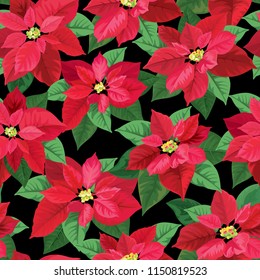 Seamless pattern of Poinsettia flowers in red and green color on black background. Vector set of Christmas elements for holiday invitations, greeting card and advertising design.