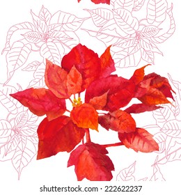 Seamless pattern  with poinsettia plant. Vector watercolor illustration
