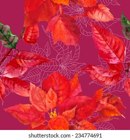 Seamless pattern  with poinsettia plant. Vector watercolor illustration