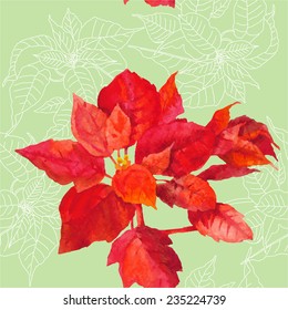Seamless pattern  with poinsettia plant. Vector watercolor illustration