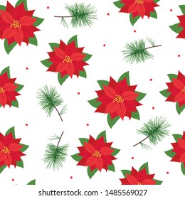Seamless pattern poinsettias on white background, vector illustration