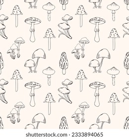 Seamless pattern of poisonous mushrooms. Vector illustration isolated on white background. Fly agaric, toadstool, maple. Different types in the style of line art.