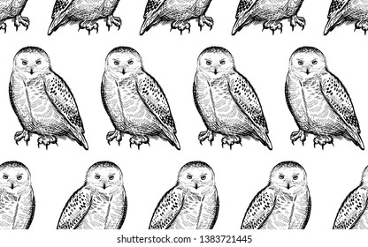Seamless pattern with polar owls. Realistic birds. Vector illustration. Predatory forest birds. Sketch hand drawing. Black and white. Vintage. Template for the design of textiles, paper, wallpaper.