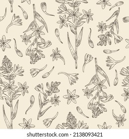 Seamless pattern with polianthes tuberosa: tuberose  plant, leaves and polianthes tuberosa flowers. Cosmetic, perfumery and medical plant. Vector hand drawn illustration