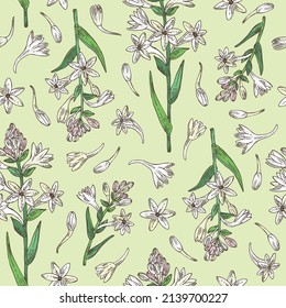 Seamless pattern with polianthes tuberosa: tuberose  plant, leaves and polianthes tuberosa flowers. Cosmetic, perfumery and medical plant. Vector hand drawn illustration