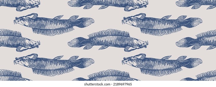 Seamless pattern Polypterus Bichir which is particular species is a Reed fish, vintage sketch drawing or engraving illustration.