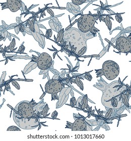 Seamless pattern with pomegranate fruit and branches. Vector illustration. Typography design elements for prints, cards, posters, products packaging, branding. 