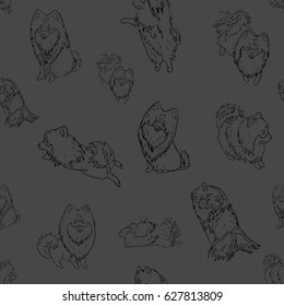 Seamless pattern with Pomeranian small dogs
