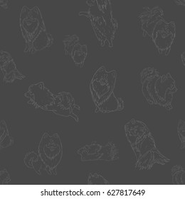 Seamless pattern with Pomeranian small dogs