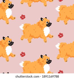 Seamless pattern with pomeranian spitz