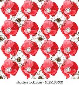 Seamless pattern with poppies flower on white background. Vector set of blooming floral for wedding invitations and greeting card design