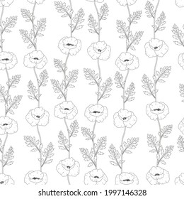 Seamless pattern poppies flowers graphics black and white vector illustration. Provence wildflowers