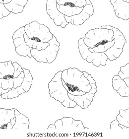 Seamless pattern poppies flowers graphics black and white vector illustration. Provence wildflowers