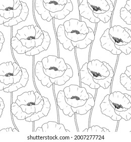 Seamless pattern poppies flowers graphics black and white vector illustration. Provence wildflowers