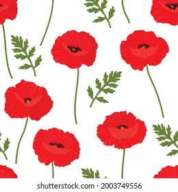 Seamless pattern poppies flowers vector illustration. Provence wildflowers