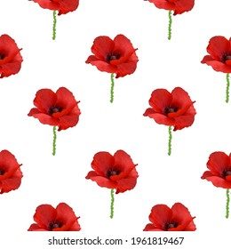 Seamless pattern with poppies.  Poppy design, flowers contour drawing, Vector - stock. Floral pattern for invitations, cards, print, gift wrap, textile, fabric, wallpaper