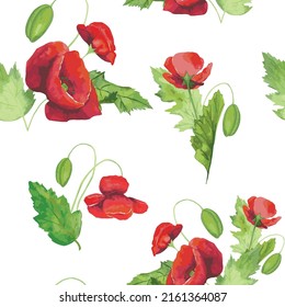 seamless pattern of poppies red flowers on a white background