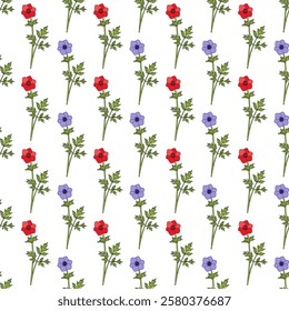 Seamless pattern with Poppy anemone, or Spanish marigold, or windflower (Anemone coronaria), ornamental plant. Vector illustration