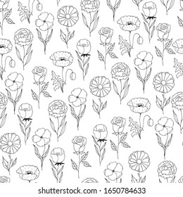 Seamless pattern with poppy, carnation, chamomile, rose flowers. Botanical texture for wedding cards. Vector isolated spring floral background for textile.